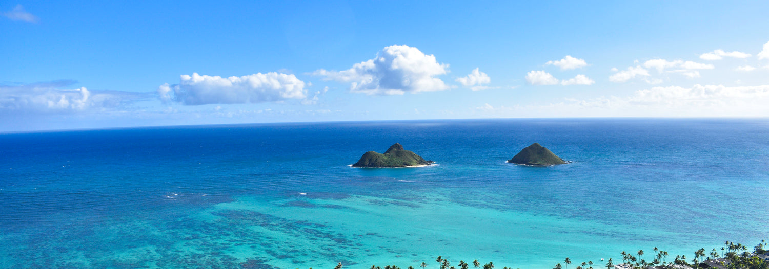 Aloha News