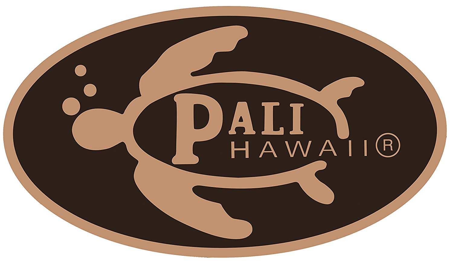 Pali Hawaii Sandals Eight Jandel Colors Jesus Sandals - AlohaShoes.com