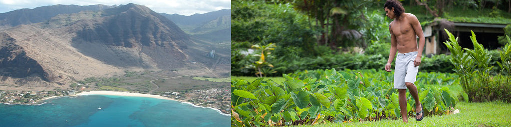 The Makaha Town & "The Slippah" Hawai'i Can't Stop Loving